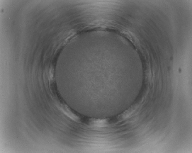 X0000066510081200603201309