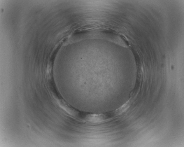 X0000066510082200603201309