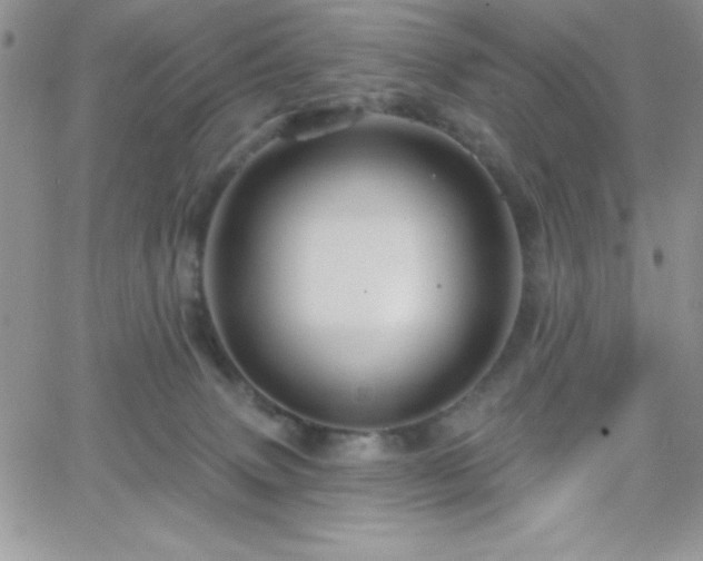 X0000066510083200603201309