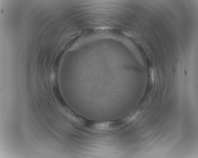 X0000066510084200603201309