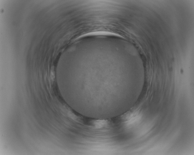 X0000066510085200603201309