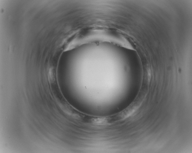 X0000066510088200603201309