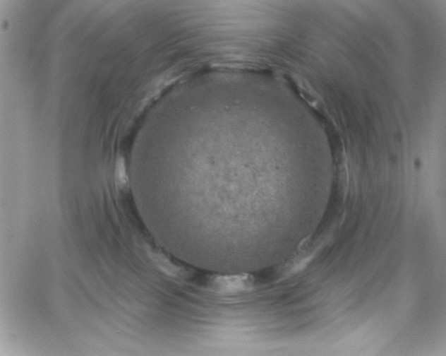 X0000066510089200603201309