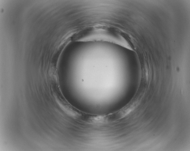 X0000066510092200603201309