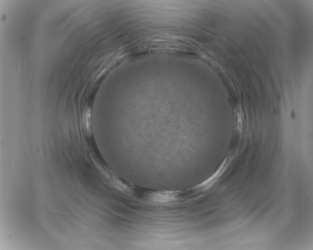 X0000066510094200603201309