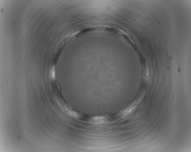 X0000066510095200603201309