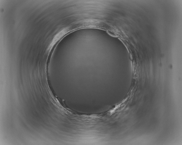 X0000066510099200603201308