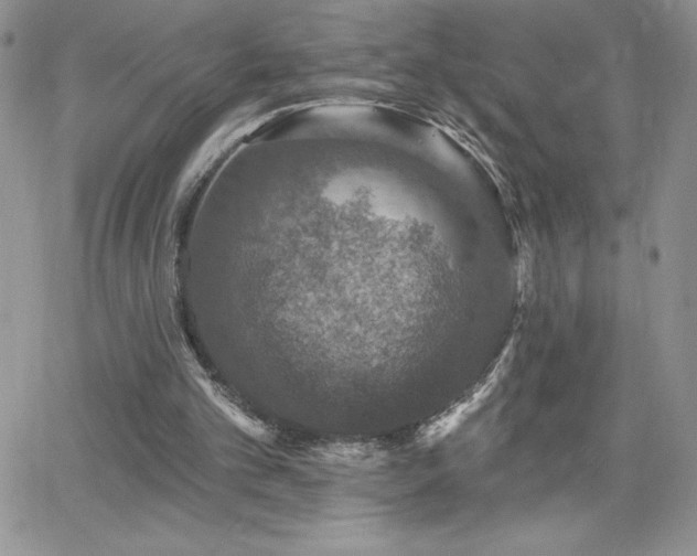 X0000066510101200603201308