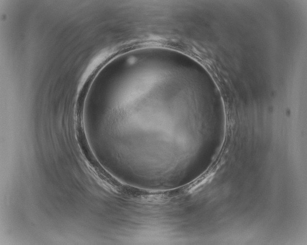 X0000066510102200603201308