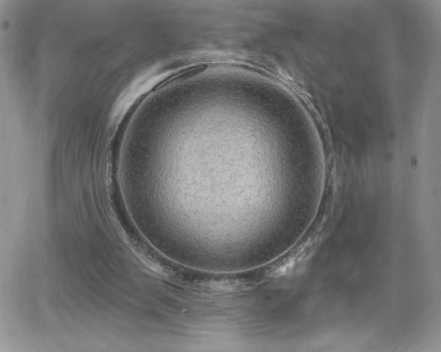 X0000066510103200603201308