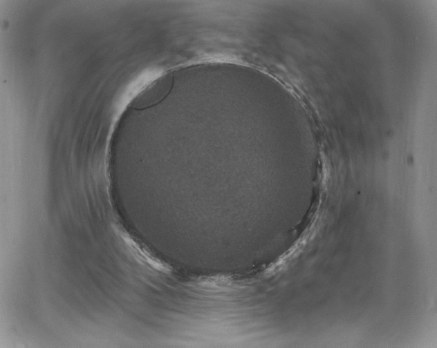 X0000066510104200603201308
