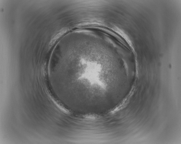 X0000066510105200603201308