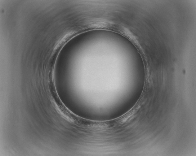 X0000066510106200603201308