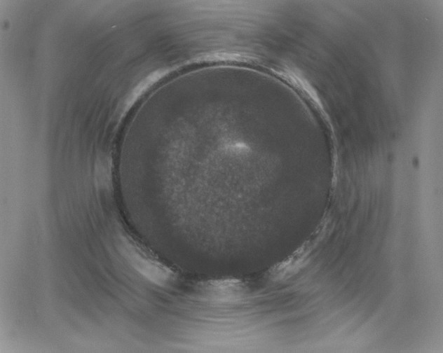X0000066510108200603201308