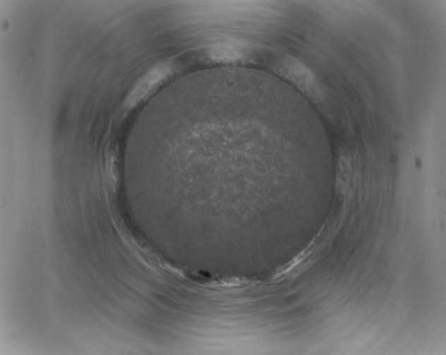 X0000066510116200603201308