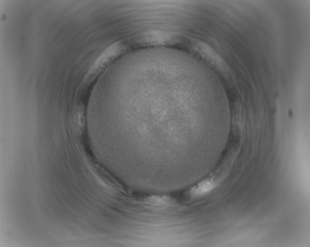 X0000066510119200603201308