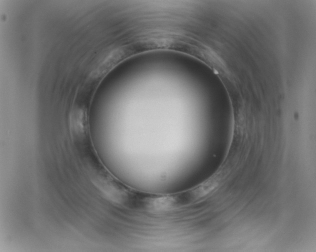 X0000066510122200603201308