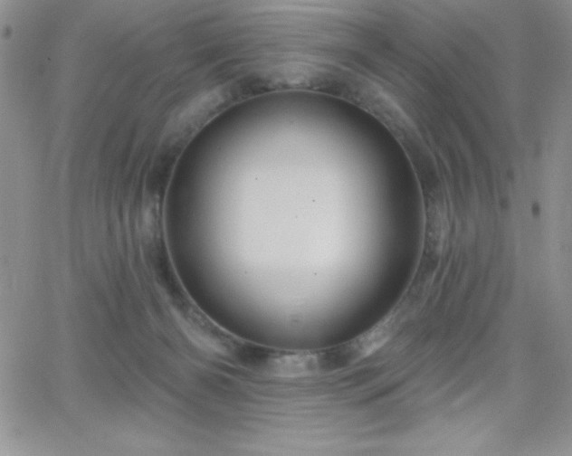X0000066510126200603201308