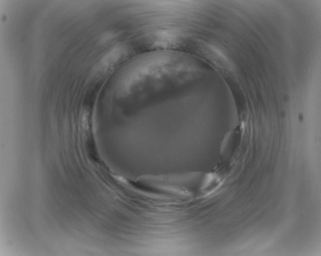 X0000066510127200603201308