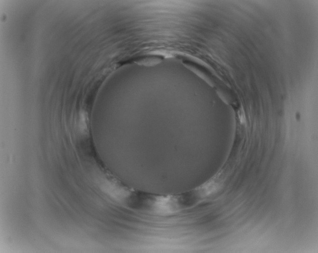 X0000066510130200603201308