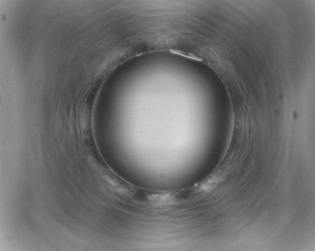 X0000066510133200603201308
