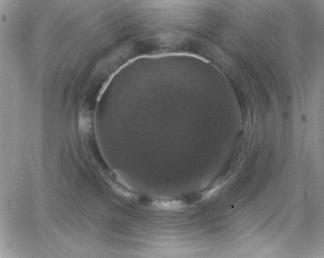 X0000066510137200603201308