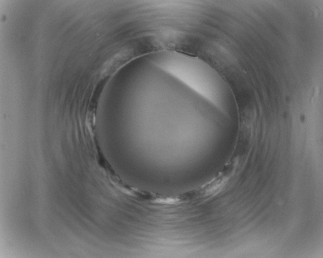 X0000066510139200603201308