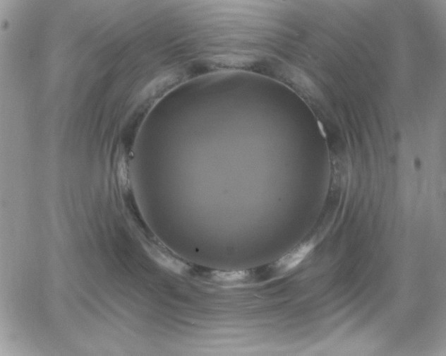 X0000066510143200603201308