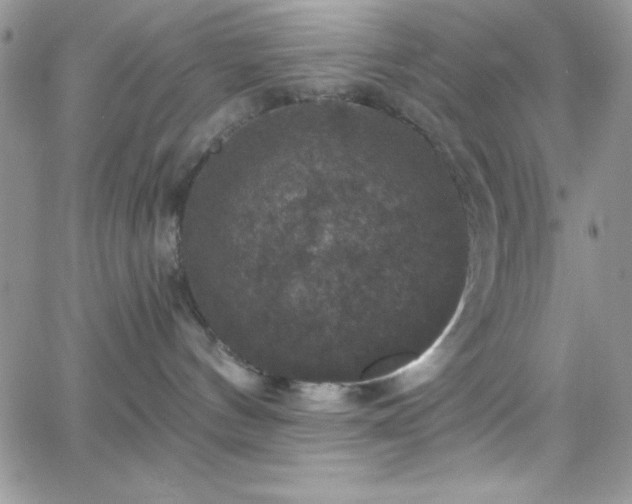 X0000066510144200603201308