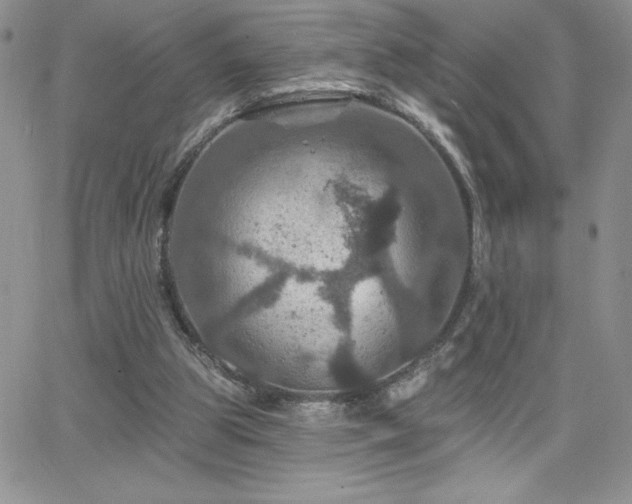 X0000066510153200603201307