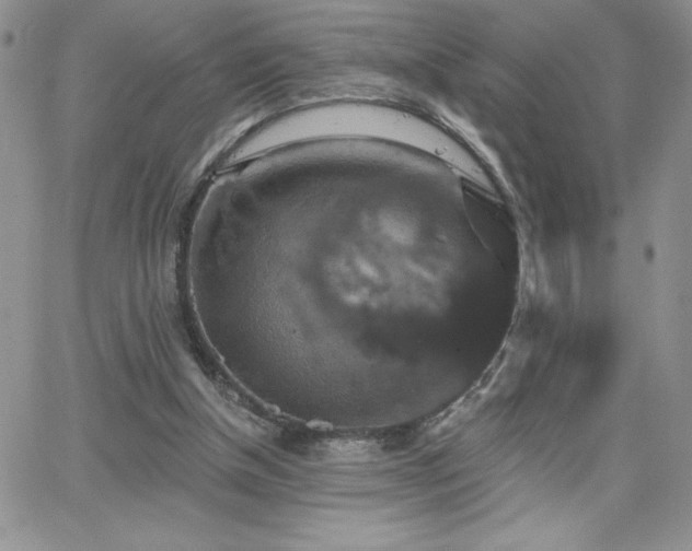 X0000066510154200603201307