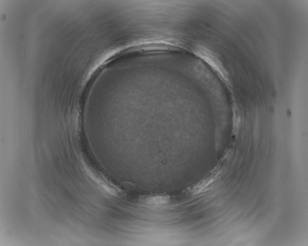 X0000066510156200603201307
