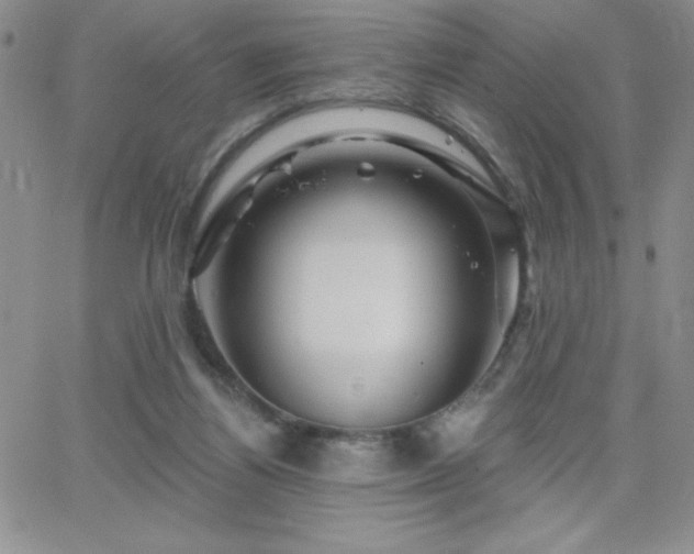 X0000066510164200603201307