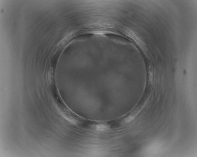 X0000066510165200603201307