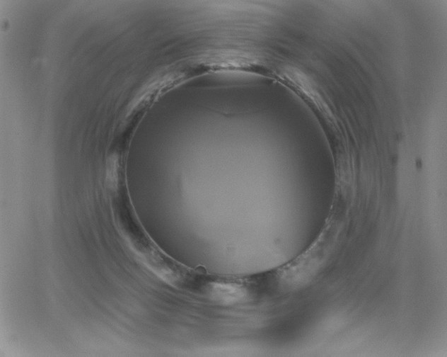 X0000066510167200603201307