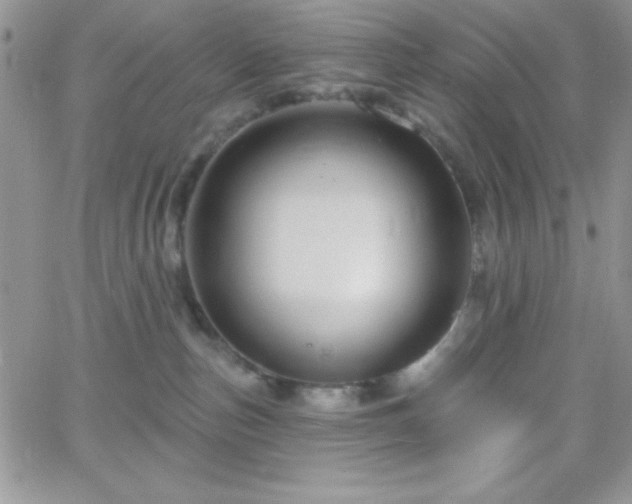 X0000066510187200603201307