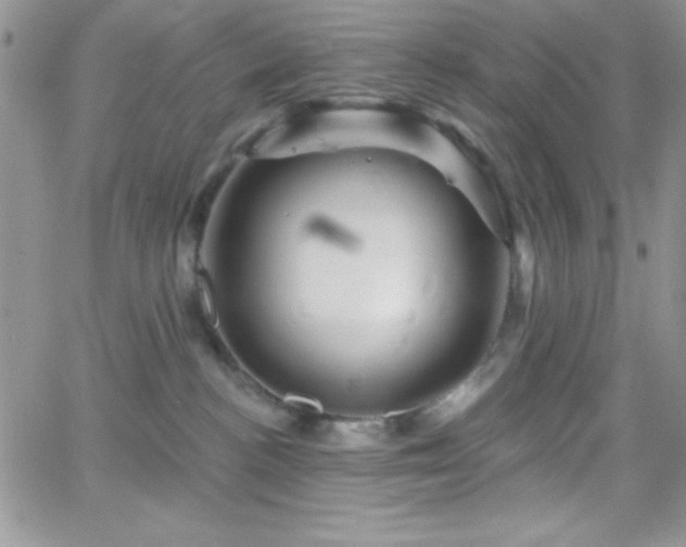 X0000066510188200603201307