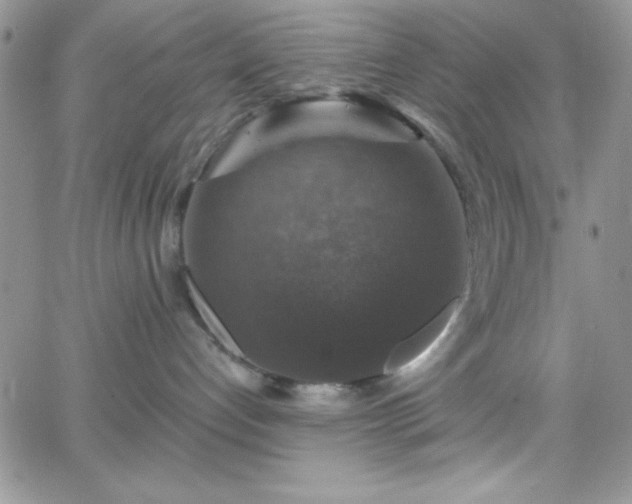 X0000066510192200603201308