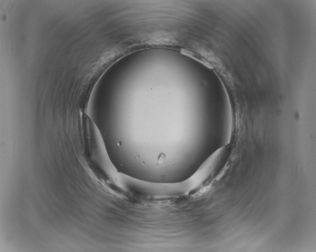 X0000066510201200603201307