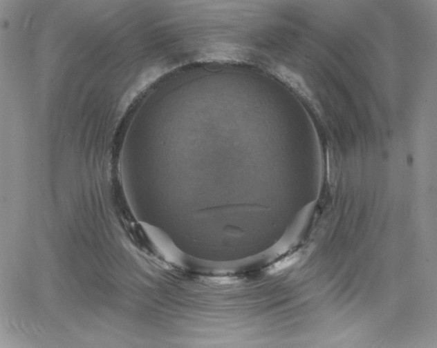 X0000066510204200603201307