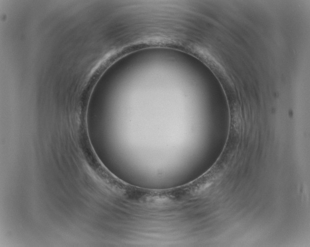X0000066510208200603201306