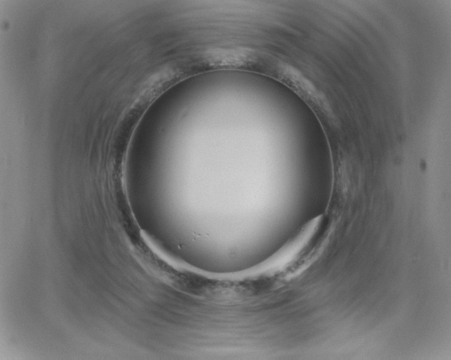 X0000066510209200603201306