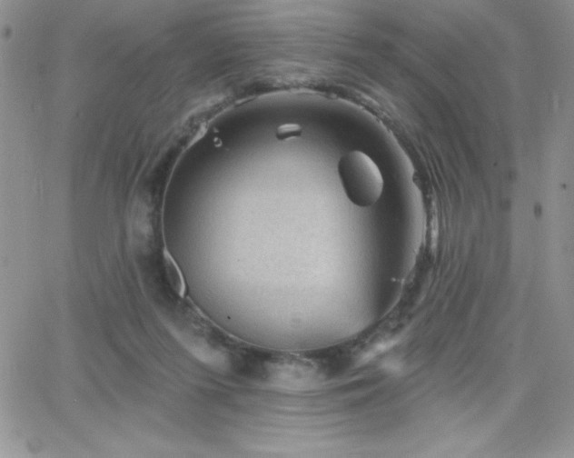 X0000066510215200603201306