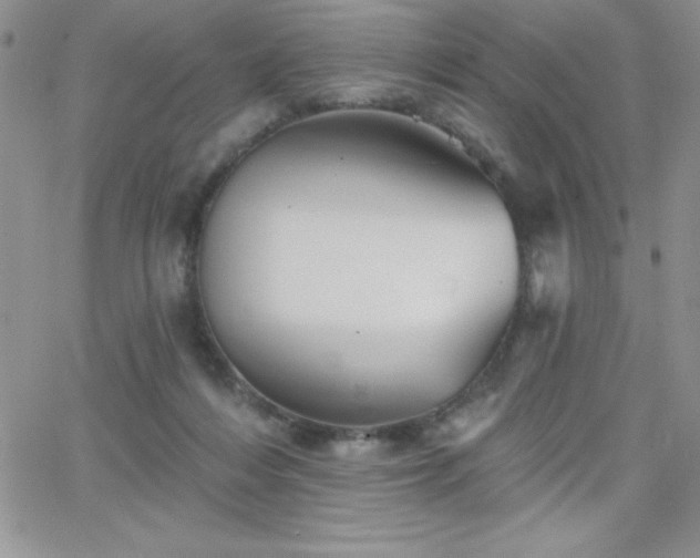 X0000066510216200603201306