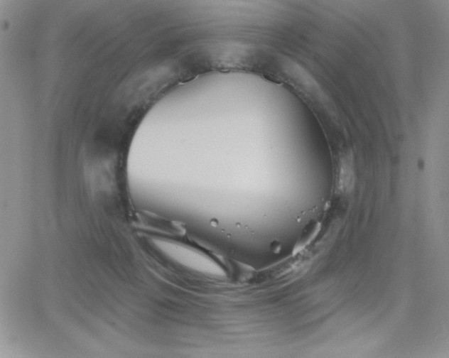 X0000066510217200603201306