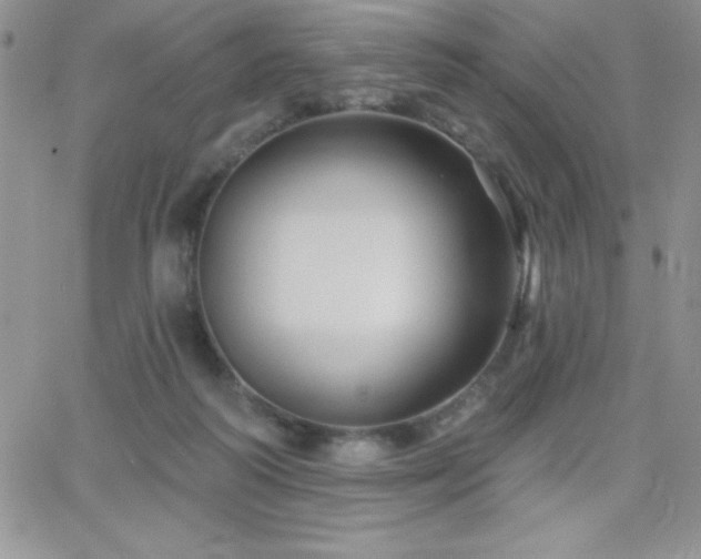 X0000066510218200603201306