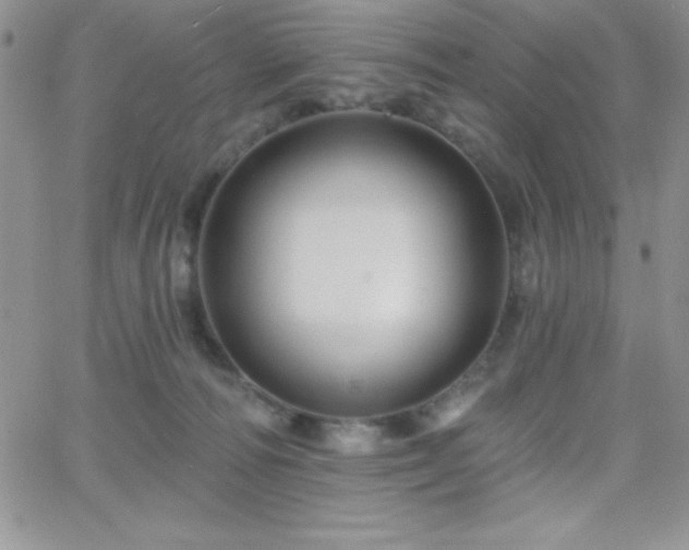 X0000066510226200603201306