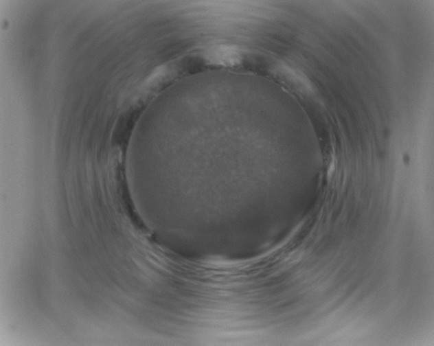 X0000066510229200603201306