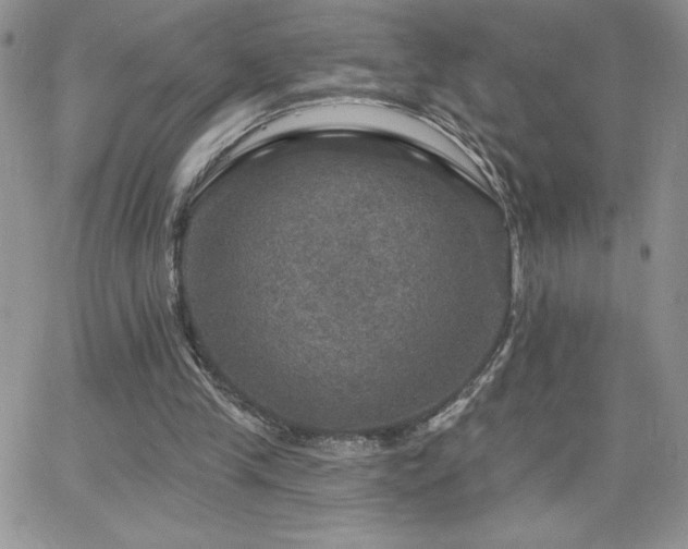 X0000066510245200603201305