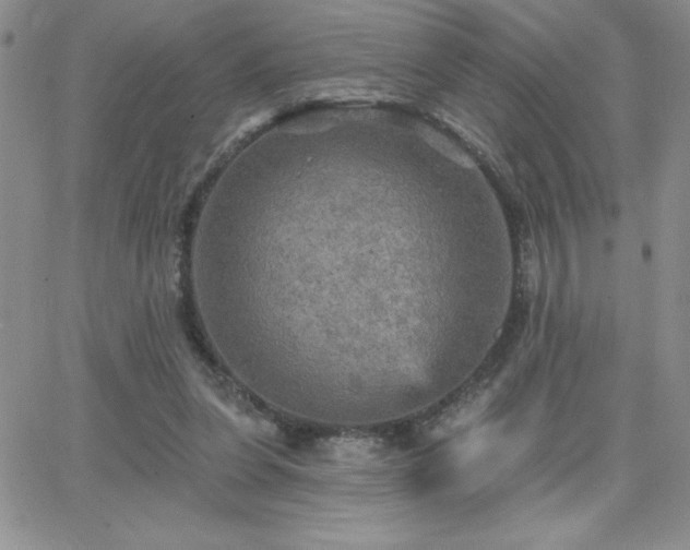 X0000066510255200603201305